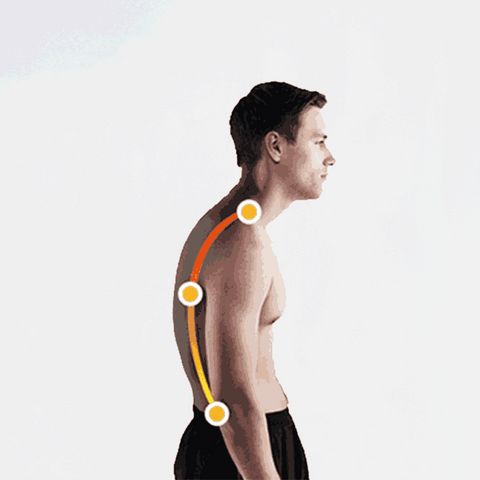 Correcteur Postural et Alignement Lombaire Maximum Body - Clube Boss